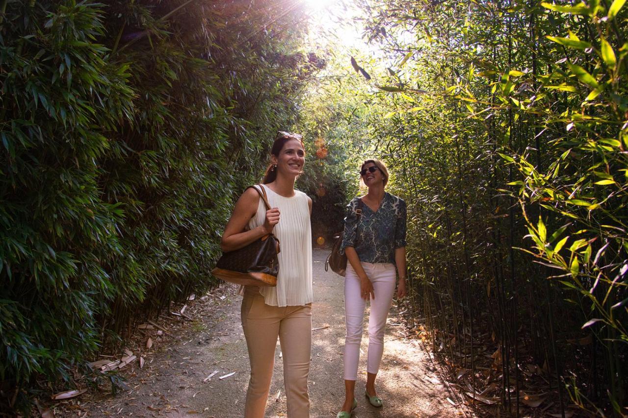 Grand Hotel Salsomaggiore Salsomaggiore Terme Exterior photo Visitors walking through the bamboo forest